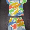 Co-ord short set (Waffer cloth - dino park)