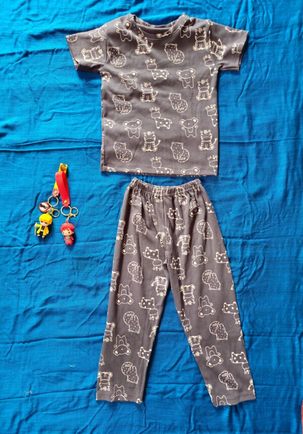 Co-ords Night suit with animal print