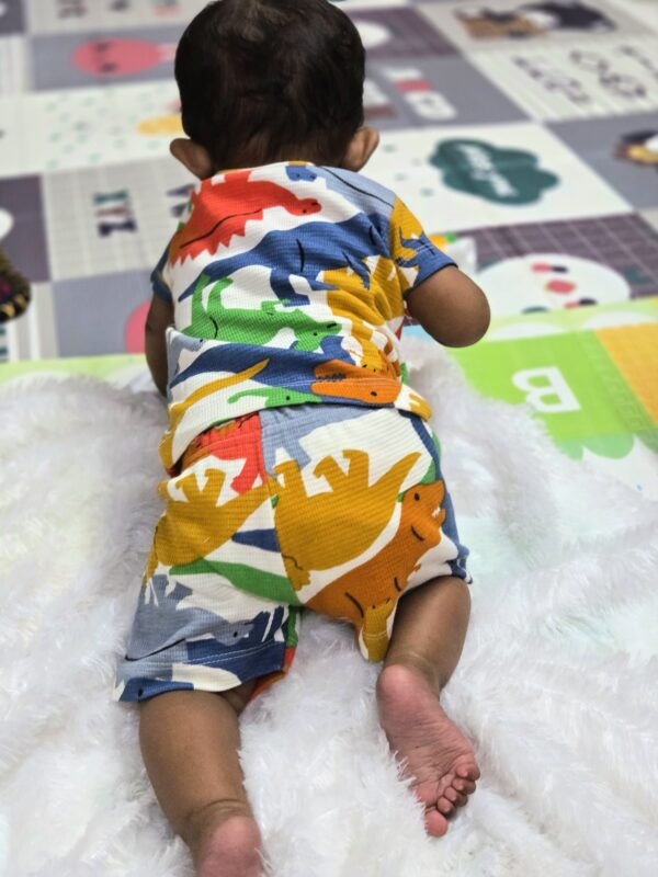 Co-ord short set (Waffer cloth - dino park)