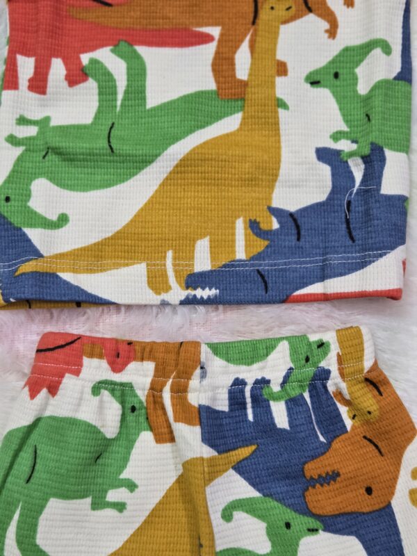 Co-ord short set (Waffer cloth - dino park)