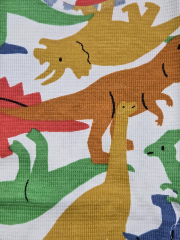 Co-ord short set (Waffer cloth - dino park)